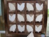 gal/Quiltefestival i Middelfart 2010/Udstilling/thumbnails/_thb_Quiltefestival 2010 034.JPG